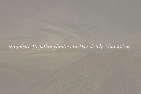 Exquisite 10 gallon planters to Dazzle Up Your Décor  