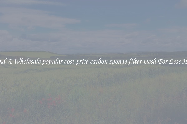 Find A Wholesale popular cost price carbon sponge filter mesh For Less Here