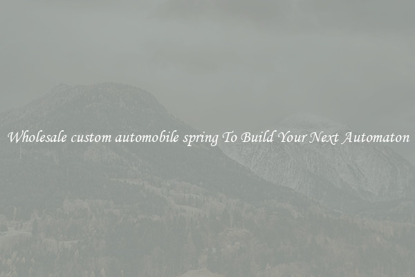 Wholesale custom automobile spring To Build Your Next Automaton