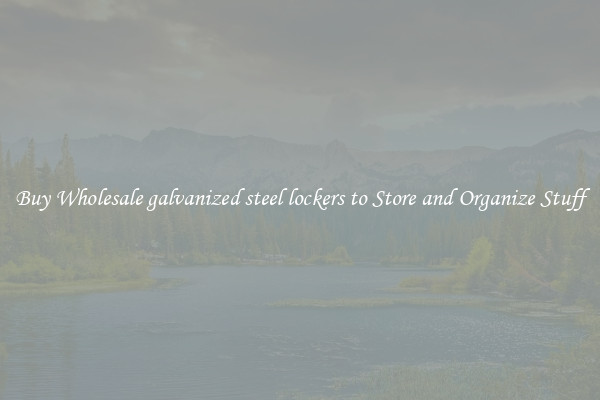 Buy Wholesale galvanized steel lockers to Store and Organize Stuff