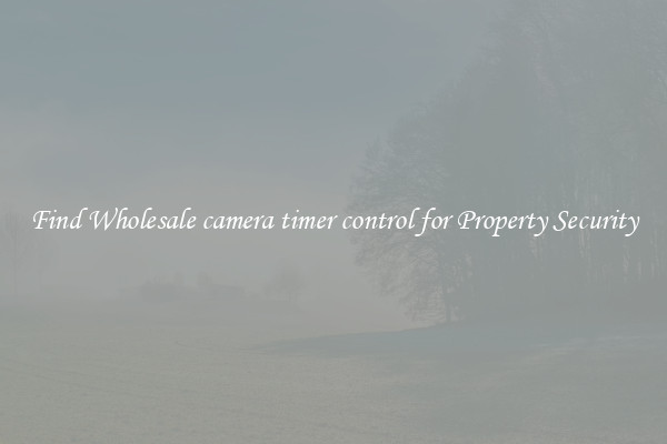 Find Wholesale camera timer control for Property Security