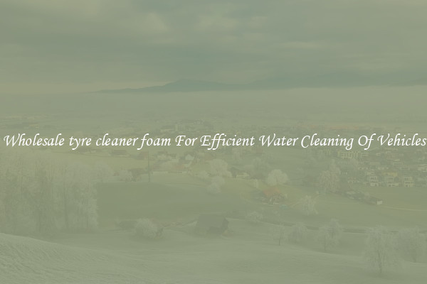 Wholesale tyre cleaner foam For Efficient Water Cleaning Of Vehicles
