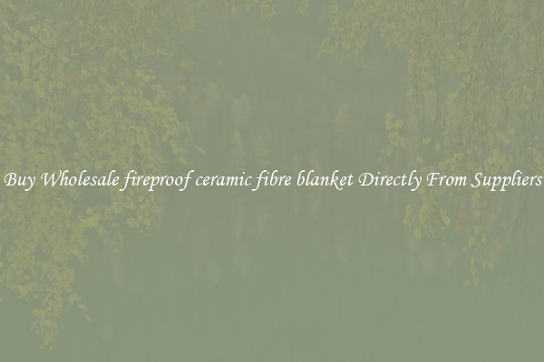 Buy Wholesale fireproof ceramic fibre blanket Directly From Suppliers