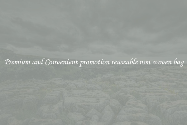 Premium and Convenient promotion reuseable non woven bag