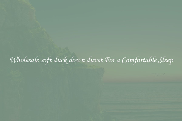 Wholesale soft duck down duvet For a Comfortable Sleep