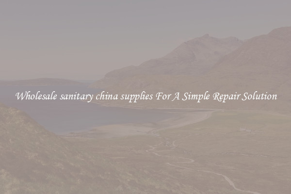 Wholesale sanitary china supplies For A Simple Repair Solution