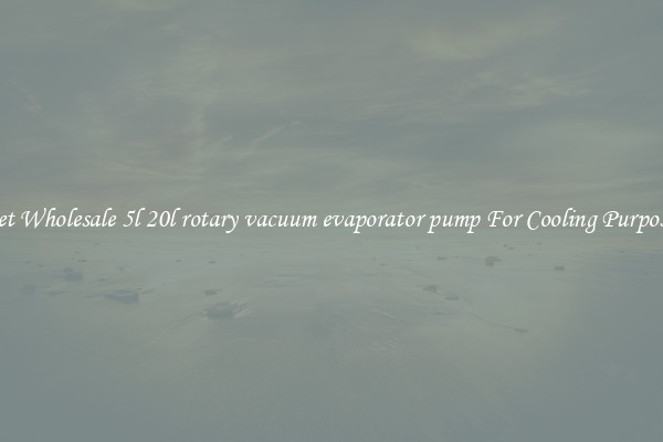 Get Wholesale 5l 20l rotary vacuum evaporator pump For Cooling Purposes