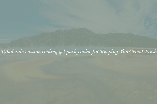 Wholesale custom cooling gel pack cooler for Keeping Your Food Fresh