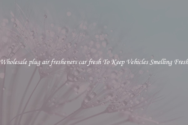 Wholesale plug air fresheners car fresh To Keep Vehicles Smelling Fresh
