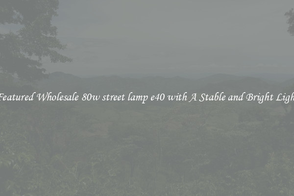 Featured Wholesale 80w street lamp e40 with A Stable and Bright Light