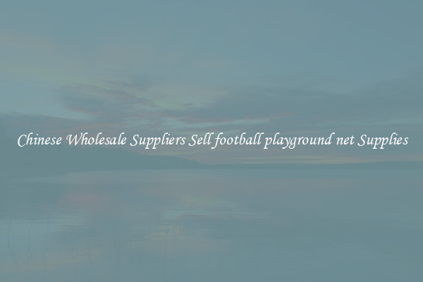 Chinese Wholesale Suppliers Sell football playground net Supplies