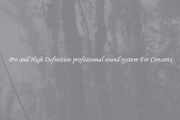 Pro and High Definition professional sound system For Concerts