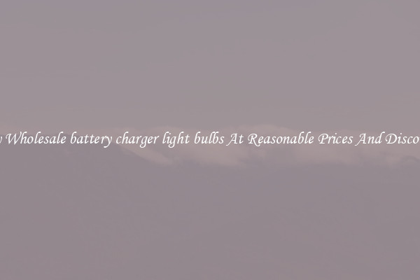 Buy Wholesale battery charger light bulbs At Reasonable Prices And Discounts