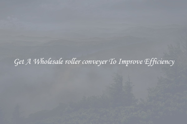 Get A Wholesale roller conveyer To Improve Efficiency