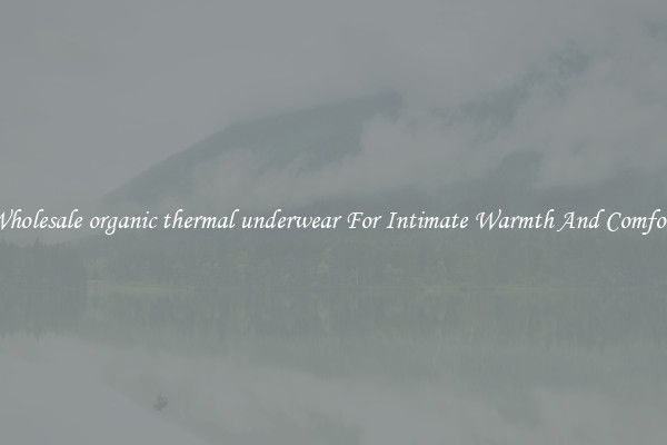 Wholesale organic thermal underwear For Intimate Warmth And Comfort