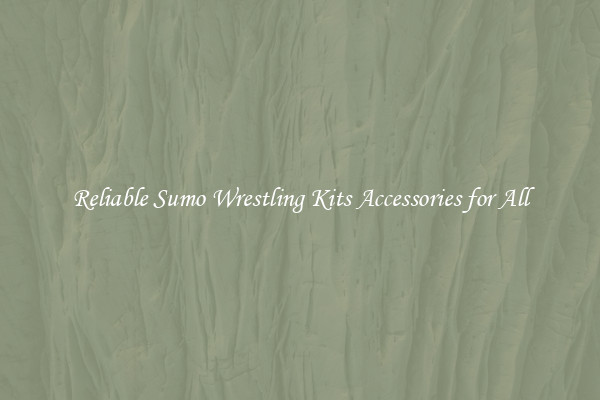 Reliable Sumo Wrestling Kits Accessories for All