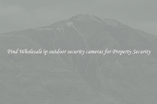 Find Wholesale ip outdoor security cameras for Property Security