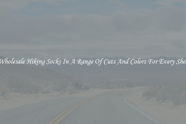 Wholesale Hiking Socks In A Range Of Cuts And Colors For Every Shoe