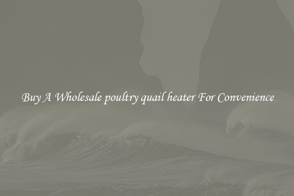 Buy A Wholesale poultry quail heater For Convenience