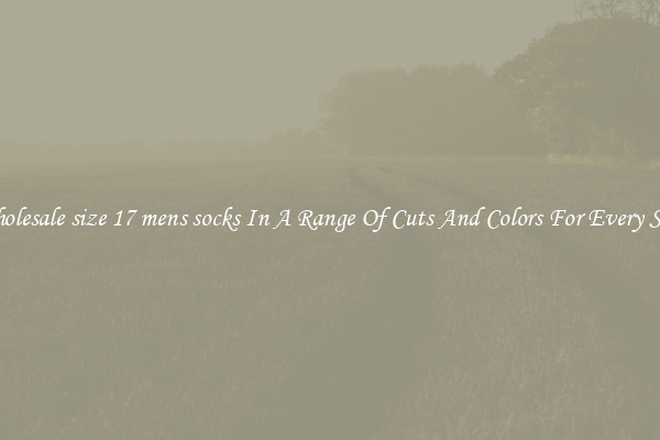 Wholesale size 17 mens socks In A Range Of Cuts And Colors For Every Shoe