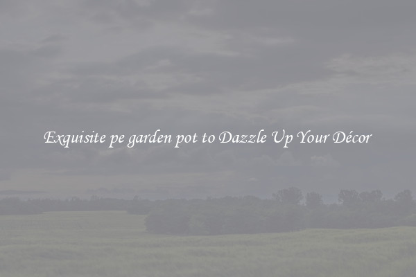 Exquisite pe garden pot to Dazzle Up Your Décor 