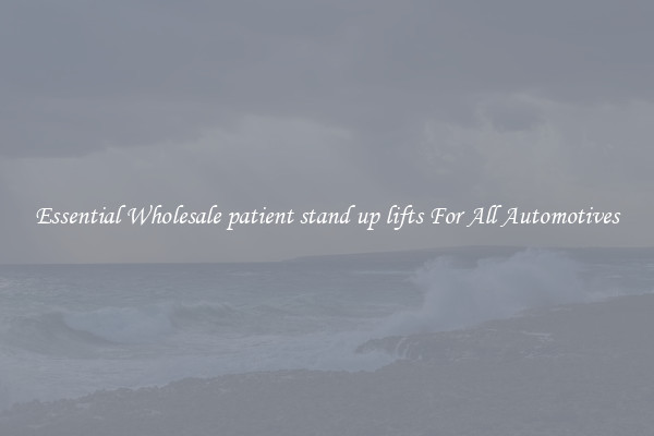 Essential Wholesale patient stand up lifts For All Automotives