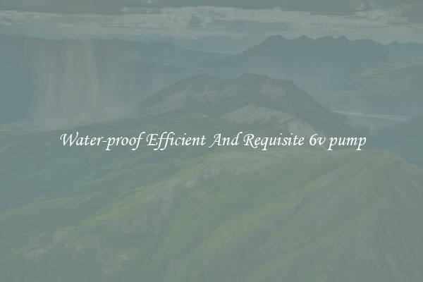 Water-proof Efficient And Requisite 6v pump